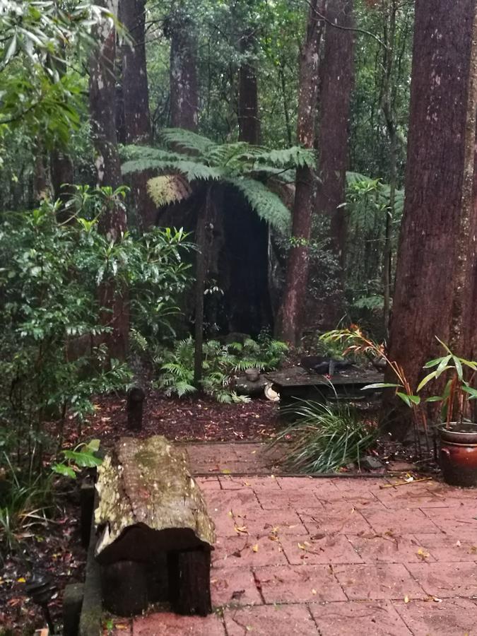 Springbrook Storybook Lägenhet Exteriör bild